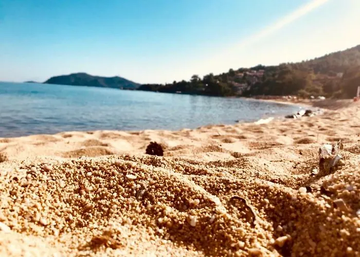 Feel Free Tatil Evi